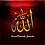 أبوزياد_الأسواني